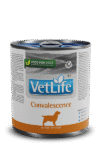 VetLife Dog Convalescence Wet Food 300 Gms
