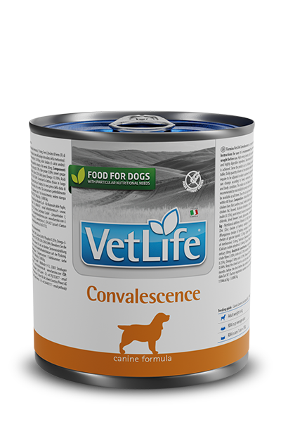 VetLife Dog Convalescence Wet Food 300 Gms