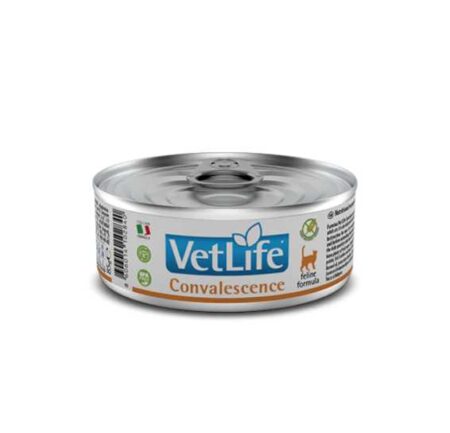 VetLife Cat Convalescence - Feline Formula 85 Gms