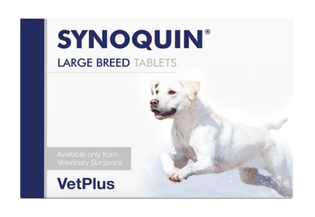 Synoquin Tablet - Large Breed - For Dogs ( 1 Strips - 15 Tablets )